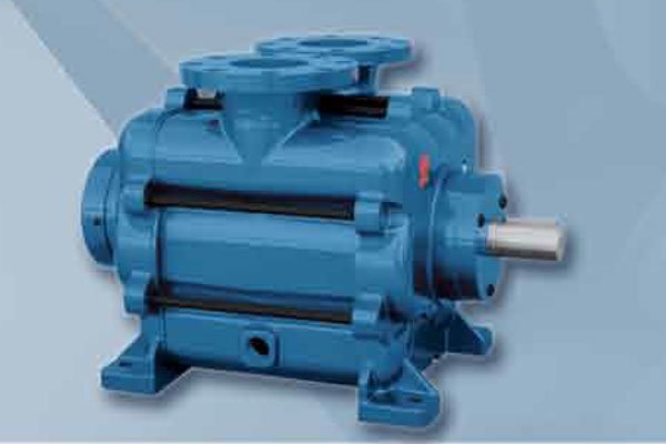 Travaini industriële vacuümpomp voor proces- en pomptoepassingen